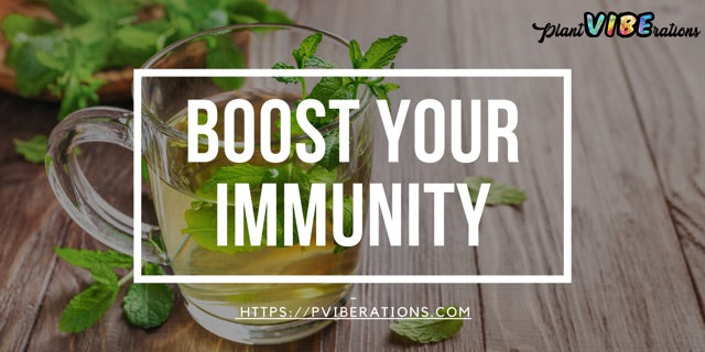 Boost Your Immunity with Nature's Best