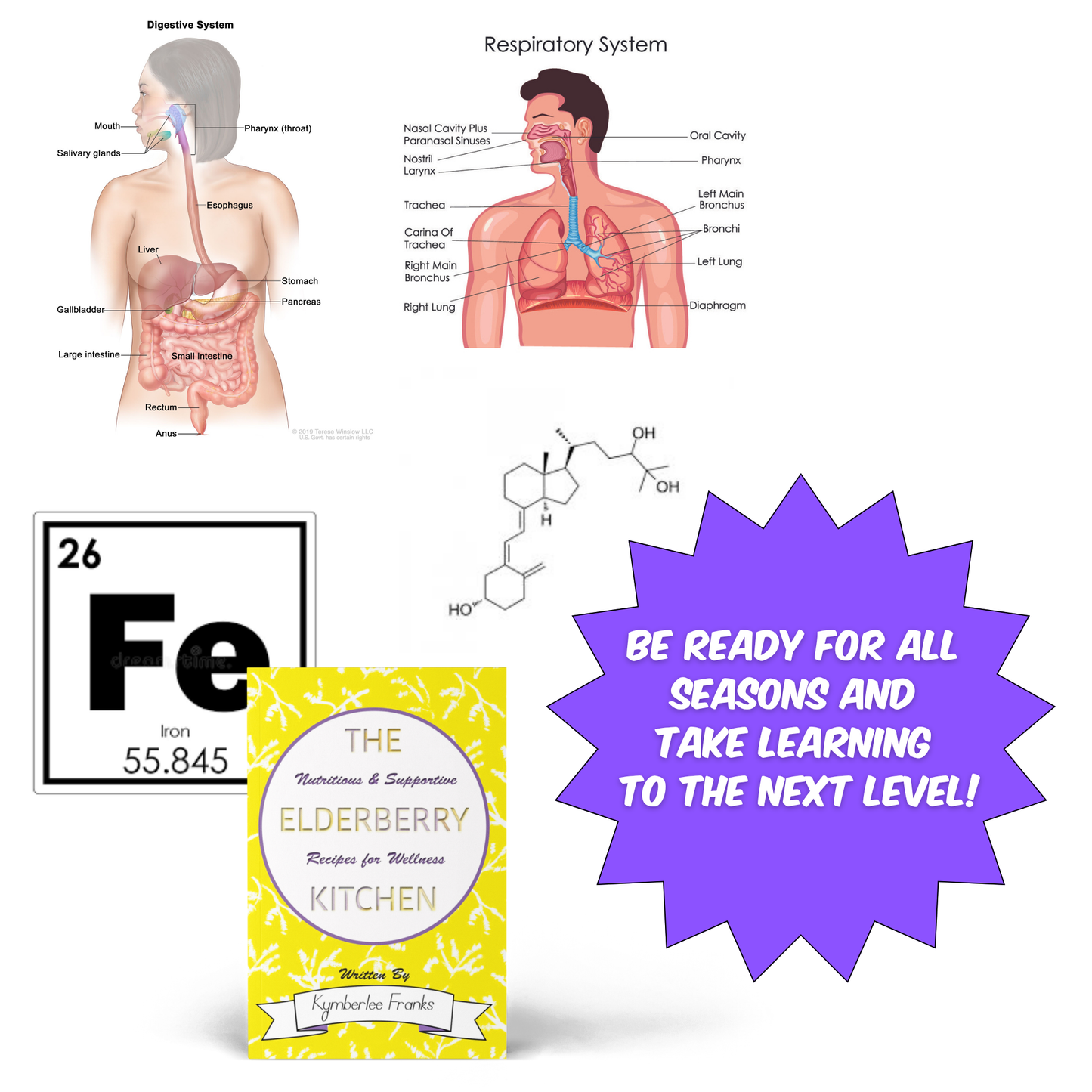 The Elderberry Kitchen: Nutritious and Supportive Recipes for wellness